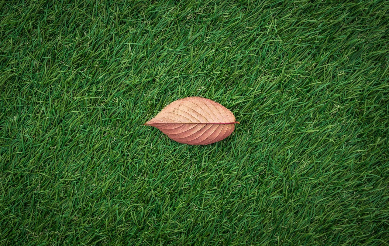 A close-up of a single brown leaf resting on lush green grass, showcasing nature